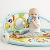 Skip Hop Explore-and-More Amazing Arch Activity Gym, Multi
