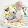 Skip Hop Explore-and-More Amazing Arch Activity Gym, Multi
