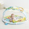 Skip Hop Explore-and-More Amazing Arch Activity Gym, Multi
