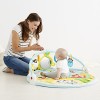 Skip Hop Explore-and-More Amazing Arch Activity Gym, Multi