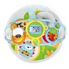 Skip Hop Explore-and-More Amazing Arch Activity Gym, Multi