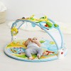 Skip Hop Explore-and-More Amazing Arch Activity Gym, Multi