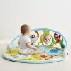 Skip Hop Explore-and-More Amazing Arch Activity Gym, Multi