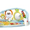 Skip Hop Explore-and-More Amazing Arch Activity Gym, Multi