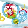 Skip Hop Explore-and-More Amazing Arch Activity Gym, Multi