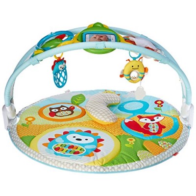 Skip Hop Explore-and-More Amazing Arch Activity Gym, Multi