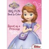 Disney® Sofia the First Coloring and Activity Book Set (2 Books ~ 96 pgs each)