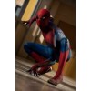The Amazing Spider-Man (Three-Disc Combo: Blu-ray / DVD + UltraViolet Digital Copy)