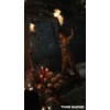 Tomb Raider Survival/Collector's Edition - Playstation 3