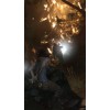 Tomb Raider Survival/Collector's Edition - Playstation 3