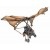 Ewok With Attack Glide...