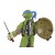 Teenage Mutant Ninja T...