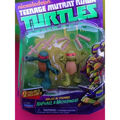 Teenage Mutant Ninja Turtles, Ninjas in Training Michaelangelo and Raphael Action Figures