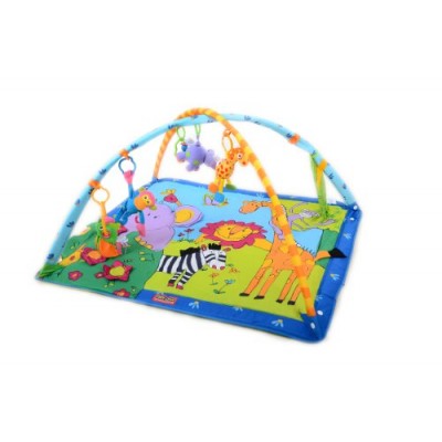 Tiny Love Gymini
Super Deluxe Lights & Music Play Mat