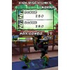 Teenage Mutant Ninja Turtles: Arcade Attack (Nintendo DS)